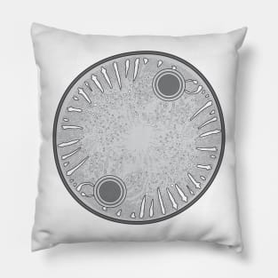 Diatom - Auliscus - Artwork Pillow