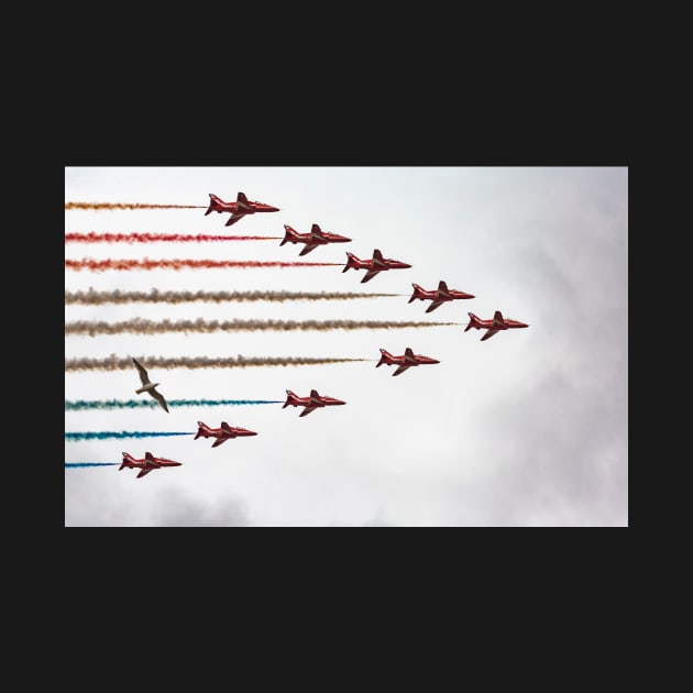 National armed forces day 27(Red arrows+one) by jasminewang