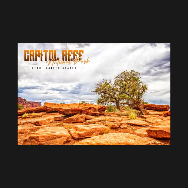 Juniper Tree in Capitol Reef National Park by Gestalt Imagery