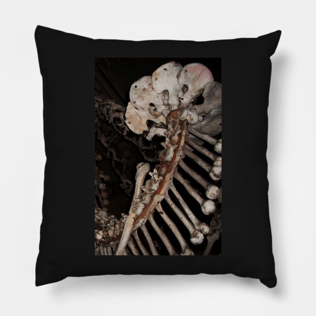 Bones Pillow by SHappe