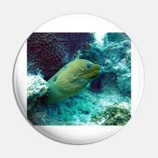 Green Moray Eel Pin