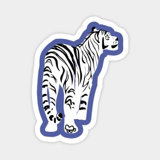 White tiger in peri background Magnet