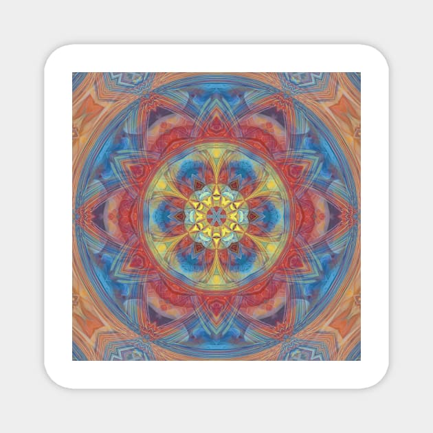 coloured hexagonal intricate kaleidoscope floral fantasy design Magnet by mister-john