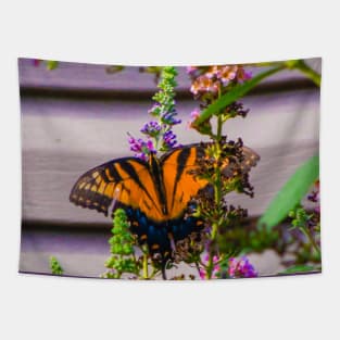 Stunning butterfly Tapestry