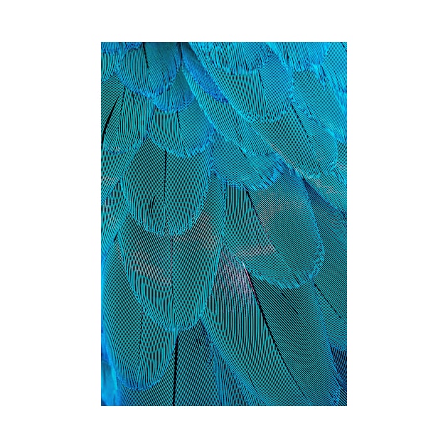 Turquoise Blue Feathers by NewburyBoutique