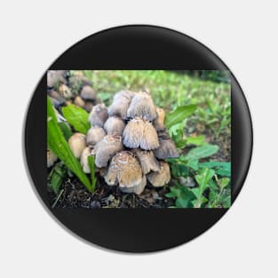 Forest Mushrooms in the Grass Pin