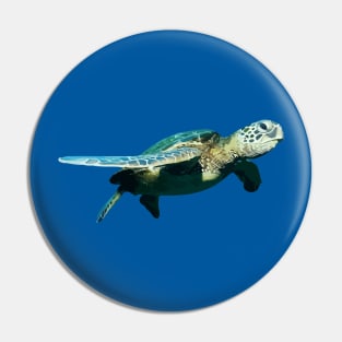 Green Sea Turtle Pin