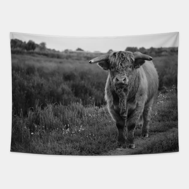 Rural Zen: Captivating Cow in Black & Gray Tapestry by Dutch.View.22