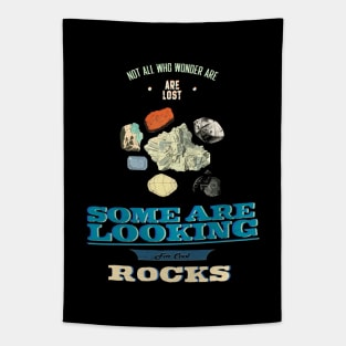 Not All Who Wonder Are Lost Some Are Looking For Cool Rocks Tapestry