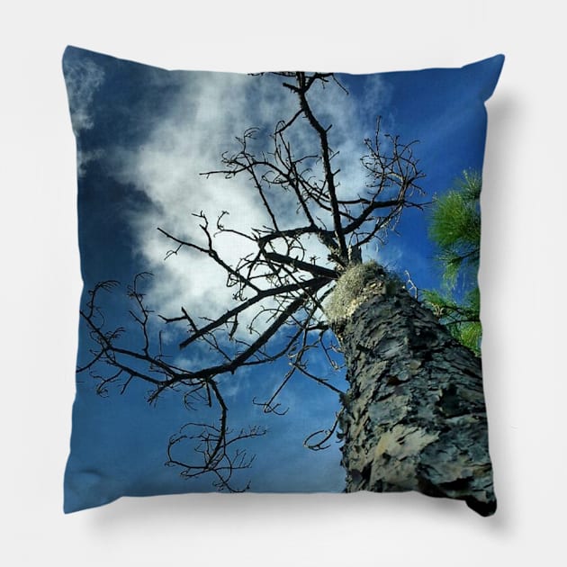 Sky Trap Pillow by Dead Moroz