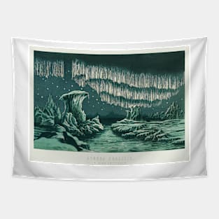 19th Century Aurora Borealis Northern Lights Print Tapestry