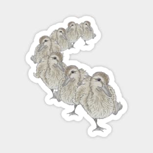 Ducks in a row Magnet