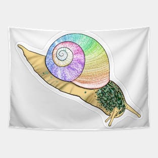 Rainbow Snail Tapestry