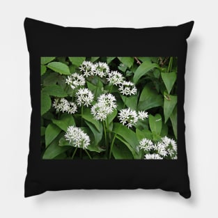 Wild Garlic Pillow