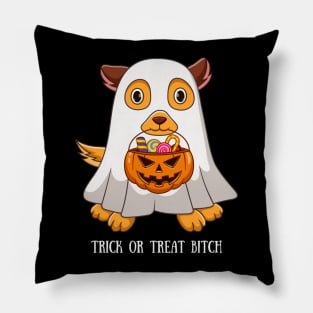 Trick or Treat Pillow