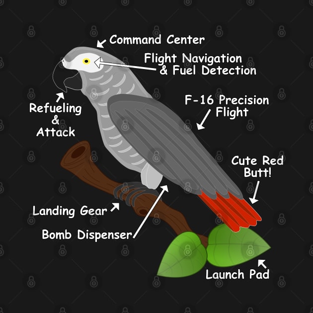 Anatomy of an African Grey Parrot by Einstein Parrot