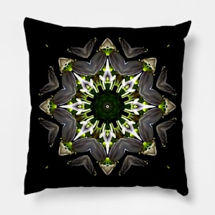 Mandala Kaleidoscope in Dark Shades Pillow