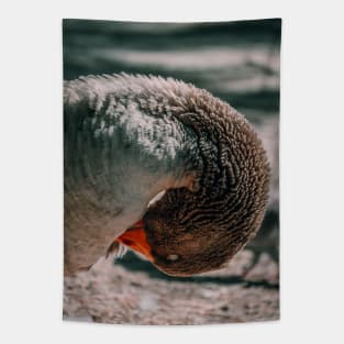 Lake Goose Wildlife Nature Photography Tapestry