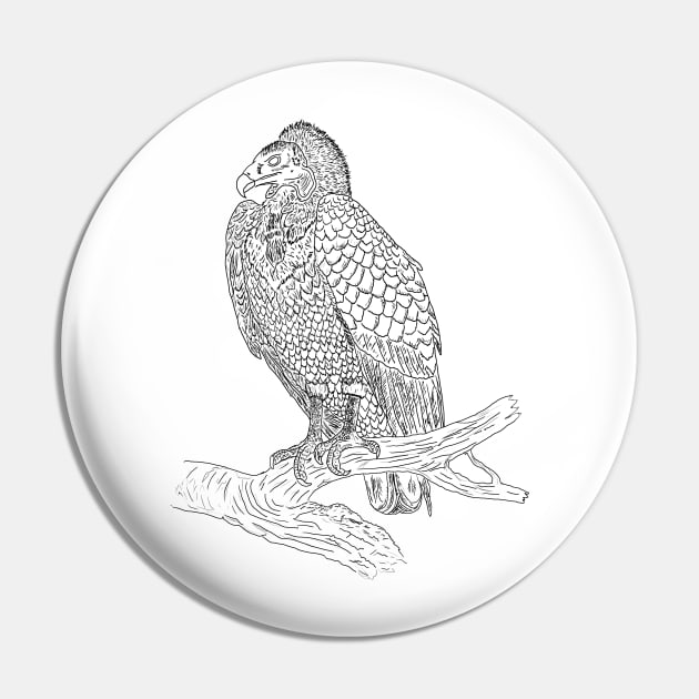 Vulture Bird Of Prey | Raptor Scavenger Ornithology Birdwatching Pin by encycloart