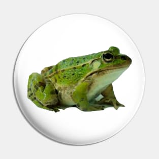 Frog Pin