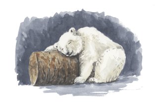 Sleeping polar bear, watercolor art Magnet