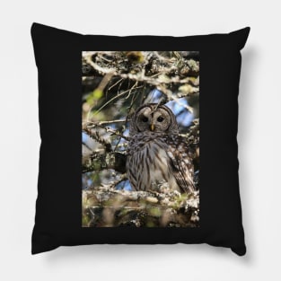 Barred owl beauty Pillow