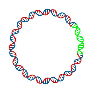 Circular DNA Double Stranded Green fluorescent protein T-Shirt