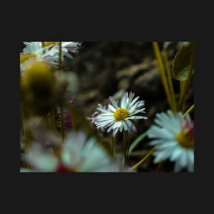 Macro Flower T-Shirt