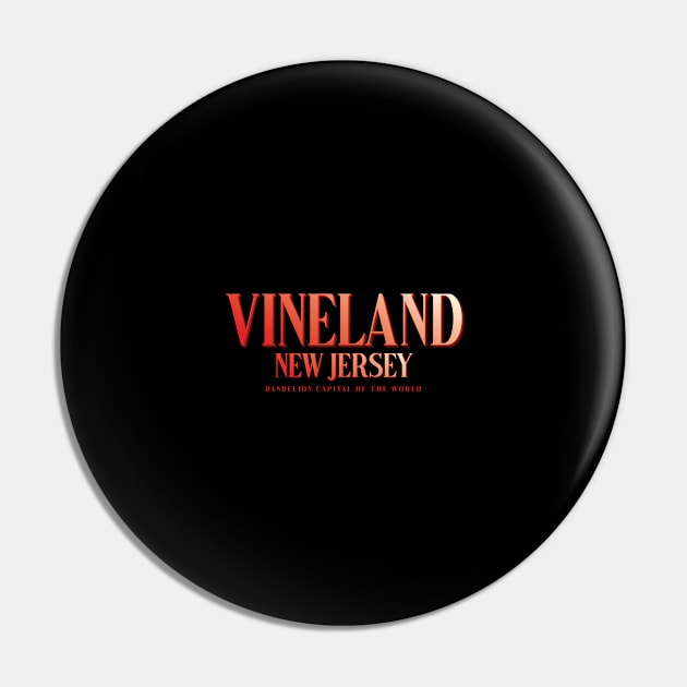 Vineland Pin by zicococ