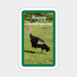 Happy Thanksgiving Turkey Magnet