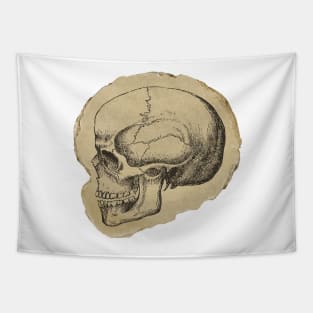 vintage skeleton drawing on paper cutout Tapestry