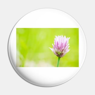 Chives Pin