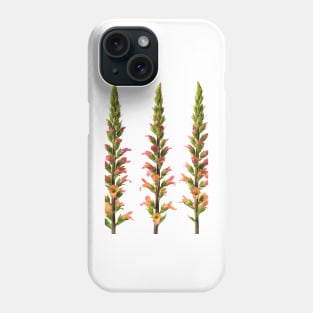 Digitalis x valinii  Foxglove Phone Case