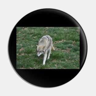 Wolf Pin