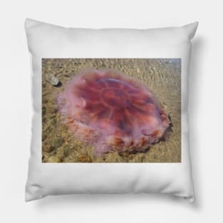 Washed Up Lion's Mane Jellyfish Photo Pillow