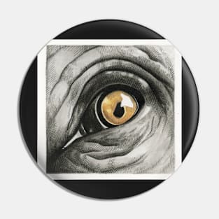 elephant eye Pin