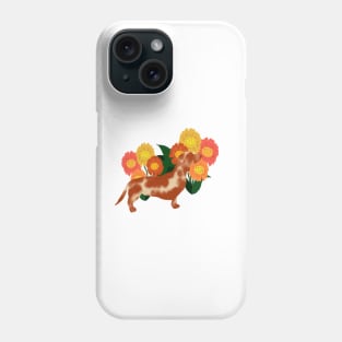 Nosey Dachshund 1 Phone Case