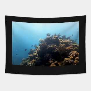 Coral Tapestry