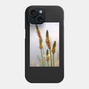 Wild Flower by Avril Thomas - photography Phone Case