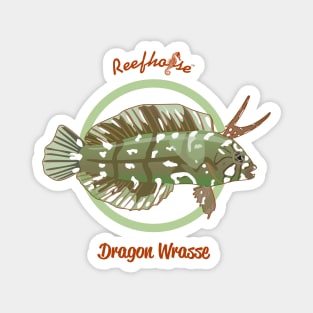 Dragon Wrasse Magnet