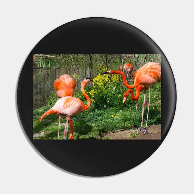 Flamingo Fight Pin by Imagery