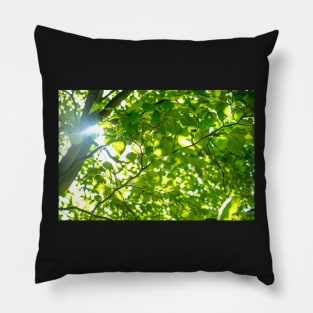 Sunlight through the leaves Pillow