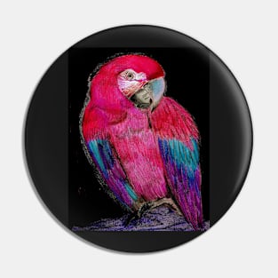 BRIGHT PINK TROPICAL PARROT MACAW DECO POSTER DRAWING PRINT ART Pin