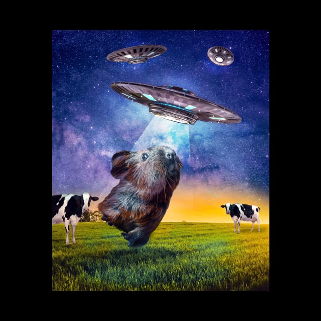 Guinea Pig UFO Abduction by Random Galaxy