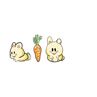 Small Bunnies and a Carrot T-Shirt