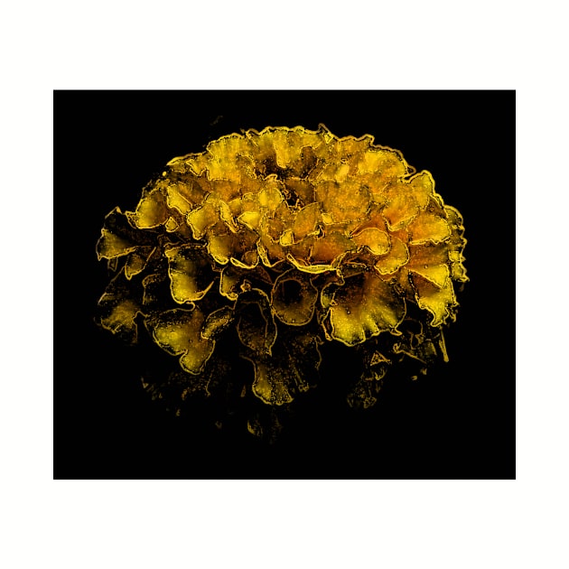 Beautiful Yellow Flower by Youyouyou