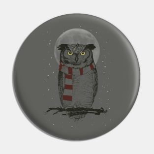 Winter owl Pin