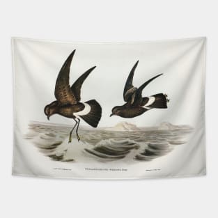 Wilson's Storm Petrel Tapestry