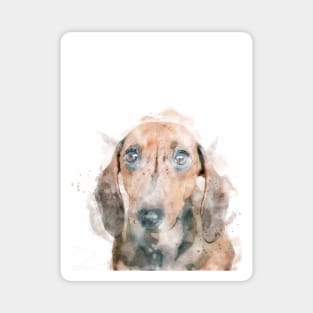 Watercolor Dachshund Magnet