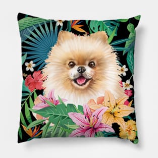 Tropical Pomeranian 5 Pillow
